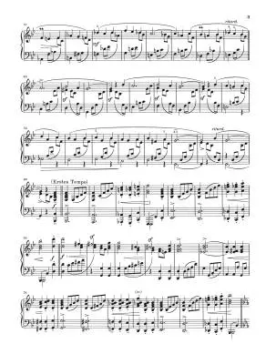 Complete Piano Works, Volume 5 - Schumann - Book - Hardcover