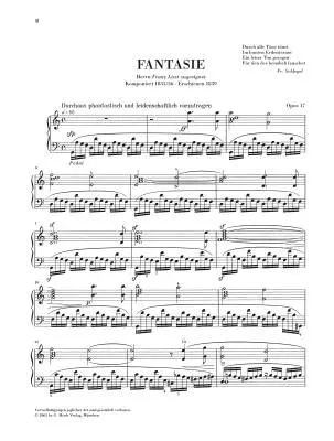 Complete Piano Works, Volume 4 - Schumann - Book - Hardcover