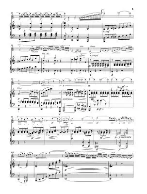 Concerto No. 5 in A minor, Op. 37 - Vieuxtemps/Iwazumi - Violin/Piano - Book