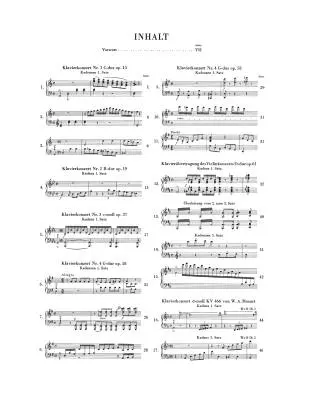 Cadenzas in the Piano Concertos - Beethoven - Piano - Book - Hardcover