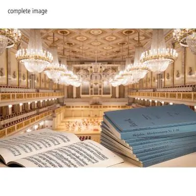 Henle Puzzle: Concert Hall - 500 Pieces