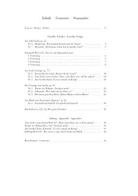 Goethe Songs - Beethoven/Luhning - High Voice/Piano - Book