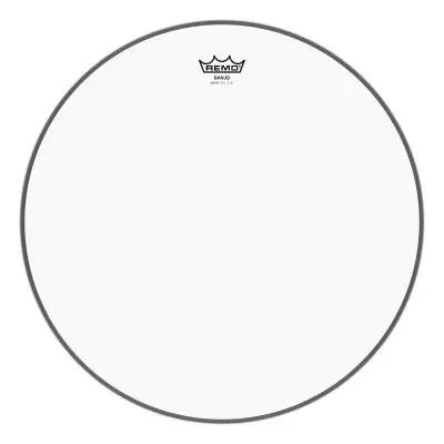 Remo - Banjo Head Clear, Medium Collar - 10 8/16