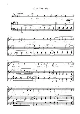 Liederkreis, Op. 39 Versions 1842 and 1850 - Schumann/Ozawa - High Voice/Piano - Book