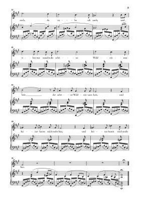 Liederkreis, Op. 39 Versions 1842 and 1850 - Schumann/Ozawa - High Voice/Piano - Book