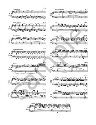 29 Studies from \'Gradus ad Parnassum\' - Clementi - Piano - Book