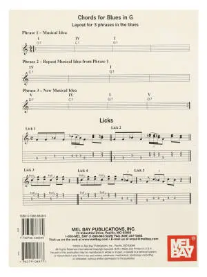 Qwiklicks: Blues Guitar Soloing Basics - Guitar - Book/DVD