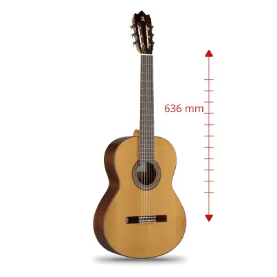 3C Classical Guitar 7/8 Size with Gig Bag