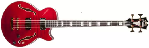 Hollow Body Bass - Cherry