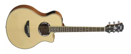 APX Acoustic/Electric Cutaway Guitar - Natural