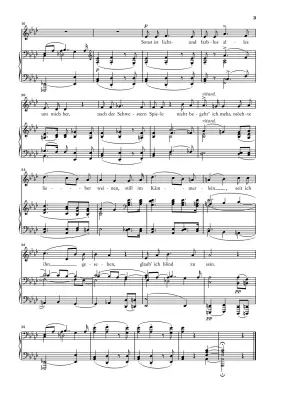 Woman\'s Love and Life, Op. 42 (Frauenliebe und Leben) - Schumann - Low Voice - Book