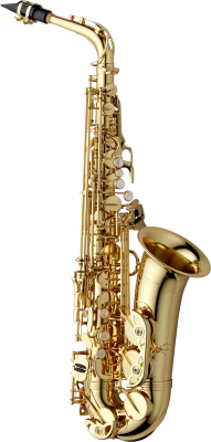 Alto Saxophone WO Series - Professional Model Brass - Gold-Lacquer Finish