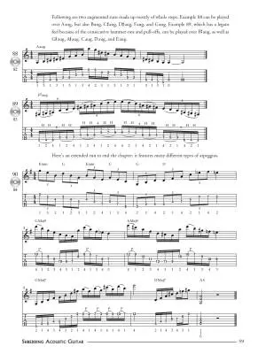 Shredding Acoustic Guitar - Podolsky - Guitar - Book/CD