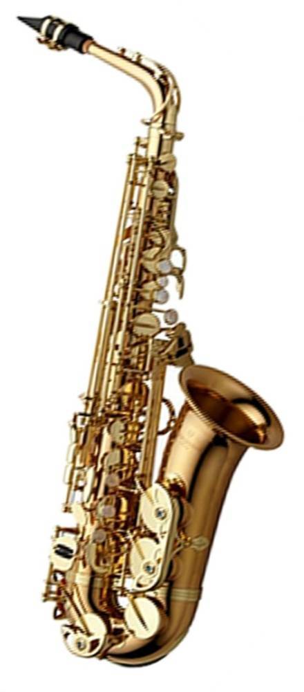 Alto Saxophone WO Series - Professional Model Bronze - Clear-Lacquer Finish