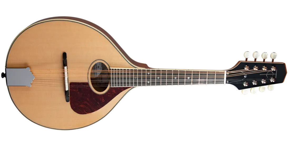 TM-250 Standard Celtic Mandolin with Gigbag - Natural Top