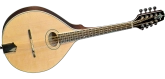 Trinity College - Celtic Mandola - Solid Spruce\/Maple
