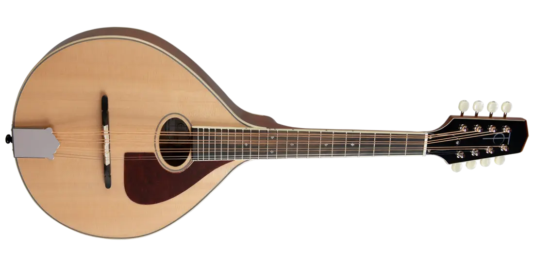 TM-275 Standard Celtic Mandola with Gigbag - Natural Top