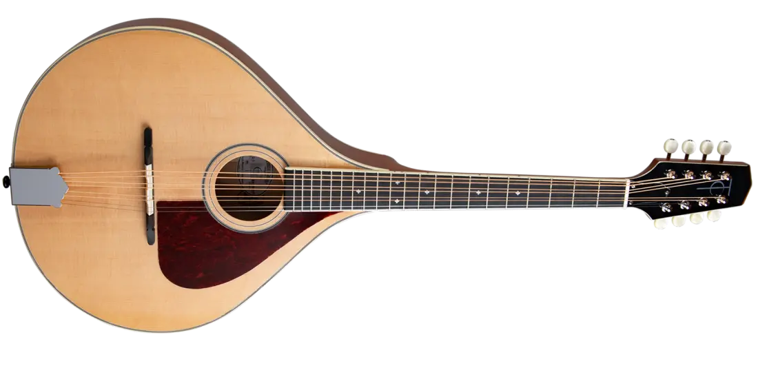 TM-325 Standard Celtic Octave Mandolin with Gigbag - Natural Top