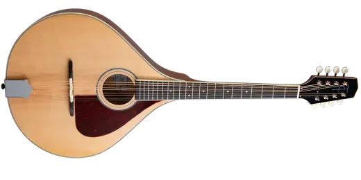 Trinity College - TM-325 Standard Celtic Octave Mandolin with Gigbag - Natural Top