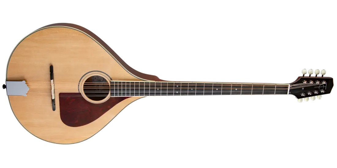TM-375 Standard Irish Bouzouki with Gigbag - Natural Top
