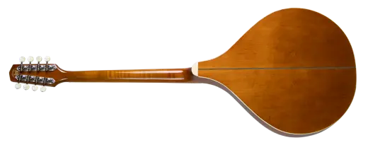 TM-375 Standard Irish Bouzouki with Gigbag - Natural Top