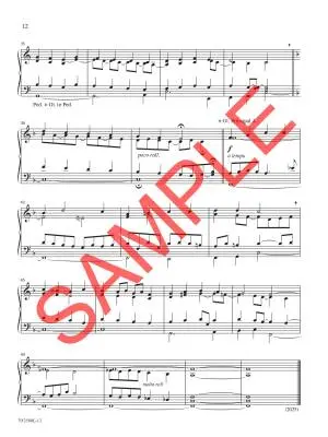 Easy Organ Library, Vol. 80 - Various - 2-Staff Organ - Book