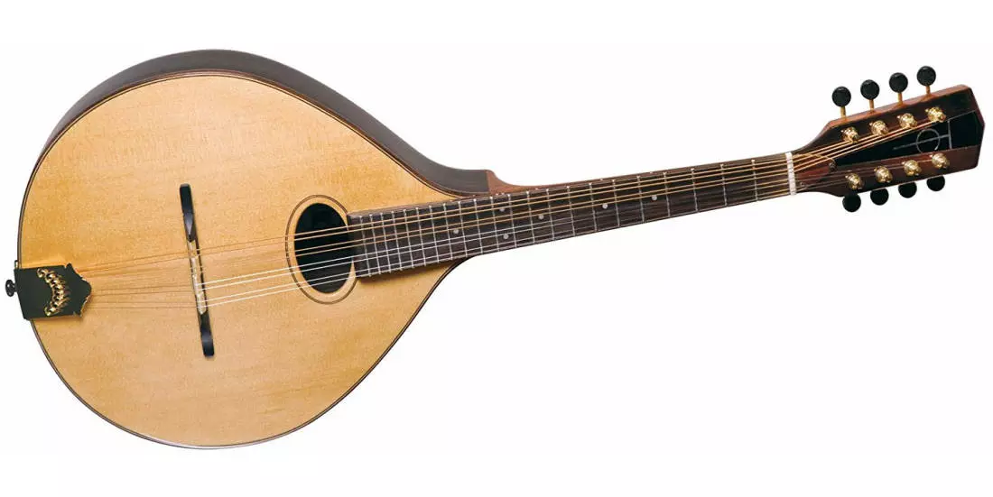 Celtic Mandola - Solid Spruce/Rosewood