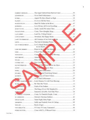 Hymn Introductions and Interludes - Lau - 2-Staff Organ - Book