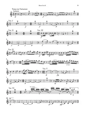 March K. 445 and Divertimento K. 334 - Mozart/Loy - Chamber Ensemble