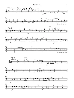 March K. 445 and Divertimento K. 334 - Mozart/Loy - Chamber Ensemble