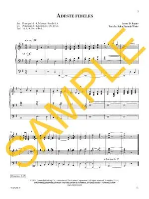 Dynamic Hymn Introductions, Volume 3 - Payne - 3-Staff Organ - Book