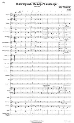 Hummingbird: the Angel\'s Messenger - Meechan - Concert Band - Gr. 3