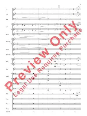 Snowdrifts - Sterk - Concert Band - Gr. 2