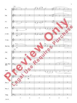 Chasing Sunshine - Bubbett - Concert Band - Gr. 1.5