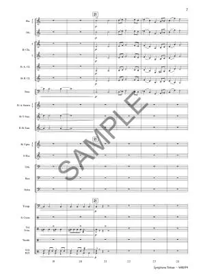 Symphonic Tribute - Freshner - Concert Band - Gr. 3