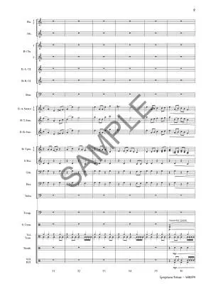 Symphonic Tribute - Freshner - Concert Band - Gr. 3