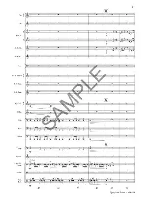Symphonic Tribute - Freshner - Concert Band - Gr. 3