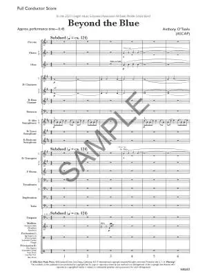 Beyond the Blue - O\'Toole - Concert Band - Gr. 3.5