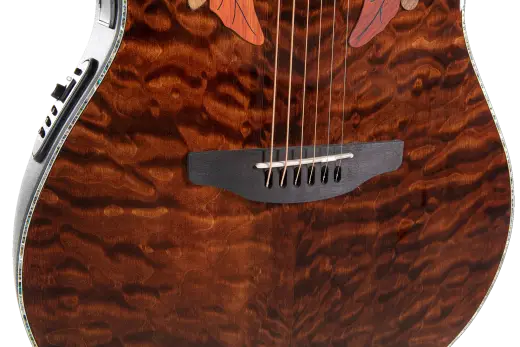 Celebrity Elite Plus CE44P Mid Cutaway Acoustic/Electric Guitar - Dark Tiger Eye
