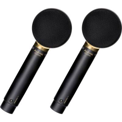 Large Diaphragm Condenser Cardioid Microphones - Matched Pair