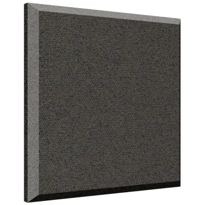 Auralex - B222 ProPanel Acoustic Ceiling Panel (1), Beveled Edge 2x 24x24 - Obsidian Fabric, Tier 4