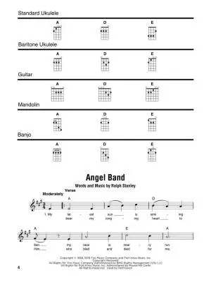 Bluegrass Songs: Strum Together - Lyrics/Chords - Book