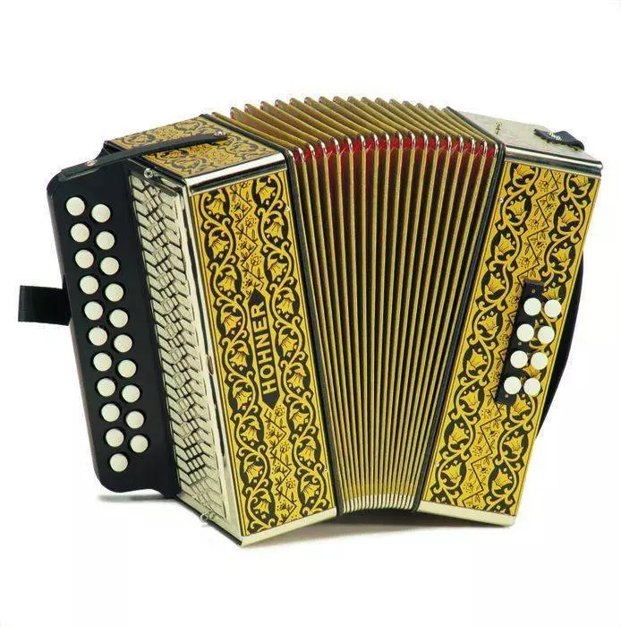 Vienna Model 2915 Accordion - Key D/G