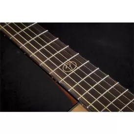 F-1000CE Dreadnought/Acoustic RW - Natural