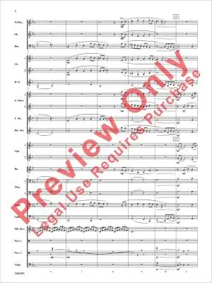 Fury of the Storm - Minder-Maldonado - Concert Band - Gr. 2.5