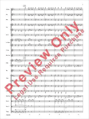 Fury of the Storm - Minder-Maldonado - Concert Band - Gr. 2.5