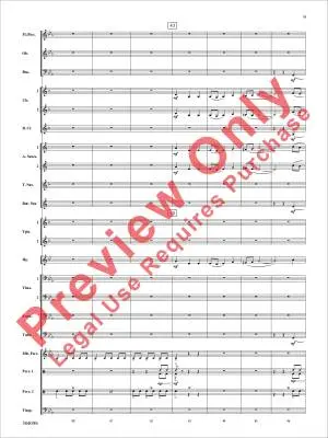 Fury of the Storm - Minder-Maldonado - Concert Band - Gr. 2.5