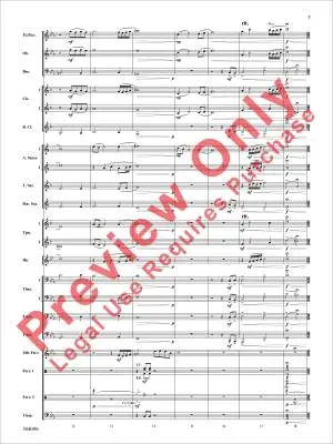 Fury of the Storm - Minder-Maldonado - Concert Band - Gr. 2.5