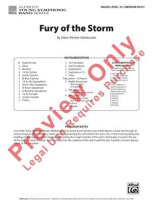 Fury of the Storm - Minder-Maldonado - Concert Band - Gr. 2.5