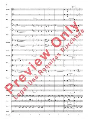 Fury of the Storm - Minder-Maldonado - Concert Band - Gr. 2.5